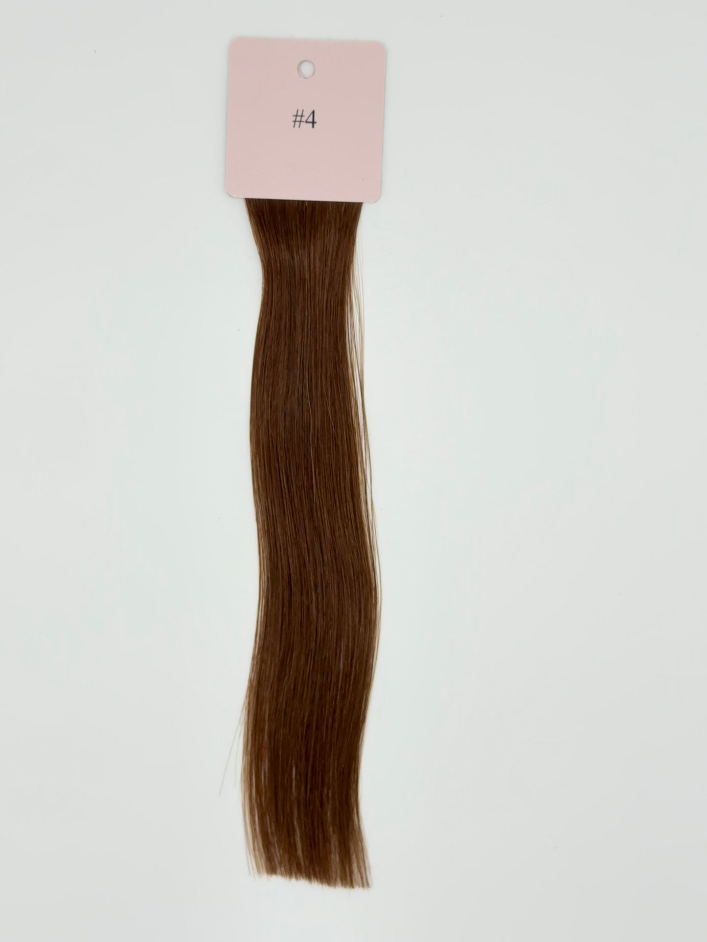 Chestnut #4
