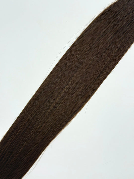 Chestnut #3