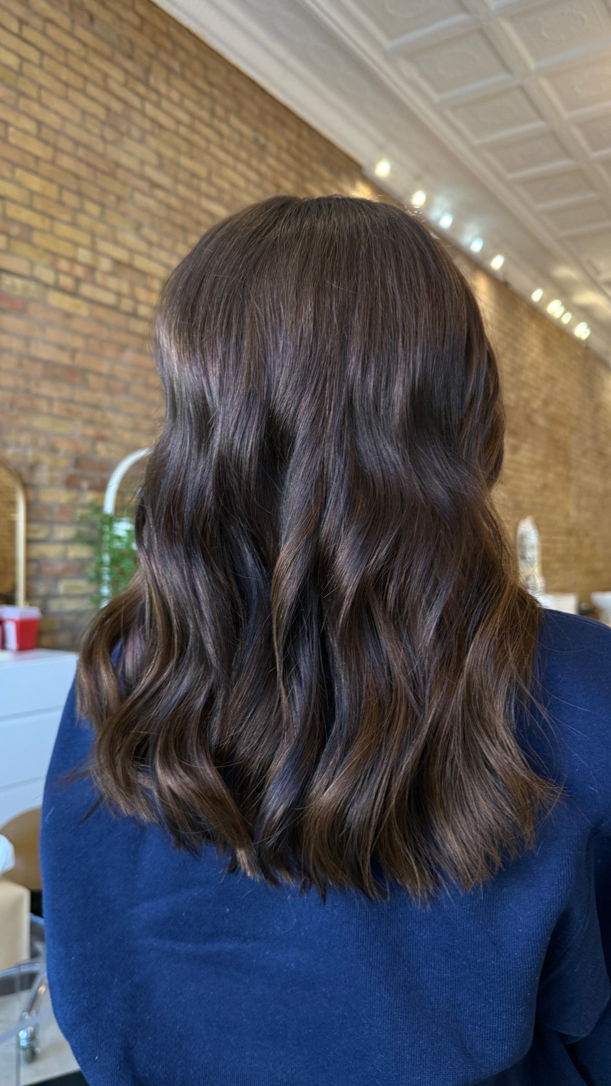 Chestnut #3